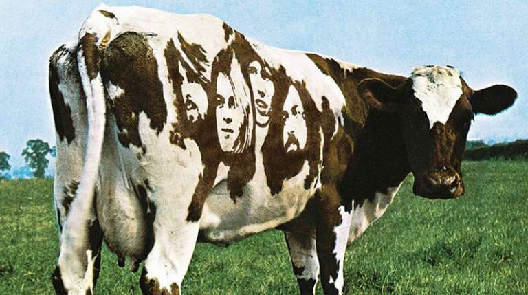 pink floyd